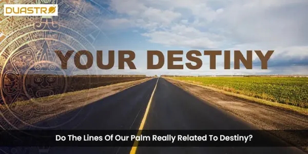 Do The Lines Of Our Palm Really Related To Destiny?